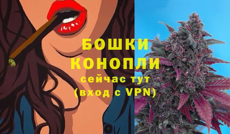 Канабис THC 21%  Буй 